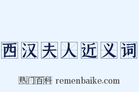西汉夫人近义词是什么意思的图片
